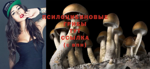 стаф Алексеевка