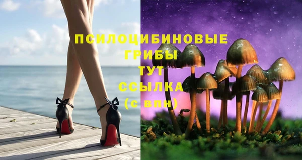MDMA Алексин