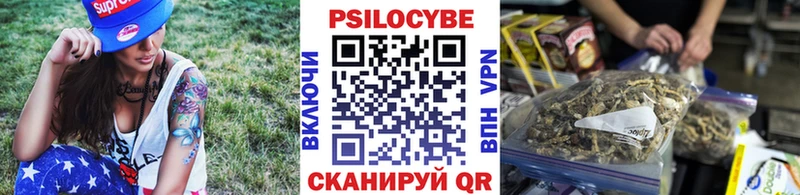 KRAKEN сайт  Новошахтинск  Псилоцибиновые грибы Psilocybine cubensis 